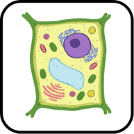 কোষ ও এর গঠন