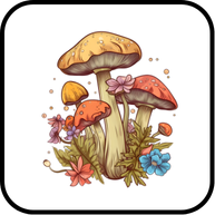 শৈবাল ও ছত্রাক