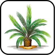 নগ্নবীজী ও আবৃতবীজী উদ্ভিদ