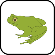 প্রাণীর বিভিন্নতা ও শ্রেণিবিন্যাস