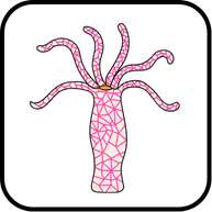 প্রাণীর পরিচিতি