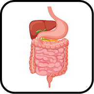 বর্জ্য ও নিষ্কাশন