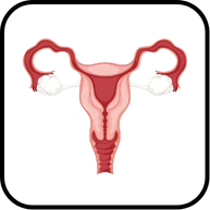 মানব জীবনের ধারাবাহিকতা