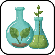 পরিবেশ রসায়ন